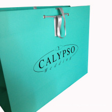 Printed Shopping Paper Bag with Lamination Finishing